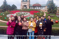 //jirorwxhoioimr5p.ldycdn.com/cloud/liBqjKrjRmmSrplpmrqp/2019-Shanghai-Disney-Park.jpg