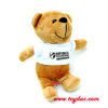 Plush Small Bear with T-Shirt