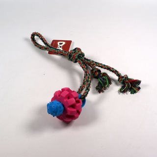 Rubber Cube with Cotton Rope Dog Toy